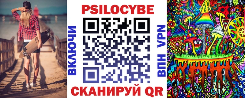 Псилоцибиновые грибы MAGIC MUSHROOMS  продажа наркотиков  Камень-на-Оби 