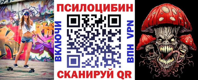Галлюциногенные грибы Psilocybe Камень-на-Оби
