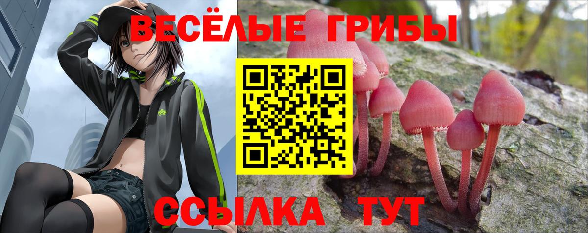 Псилоцибиновые грибы Cubensis  Псилоцибиновые грибы MAGIC MUSHROOMS  Камень-на-Оби  Вход с VPN 